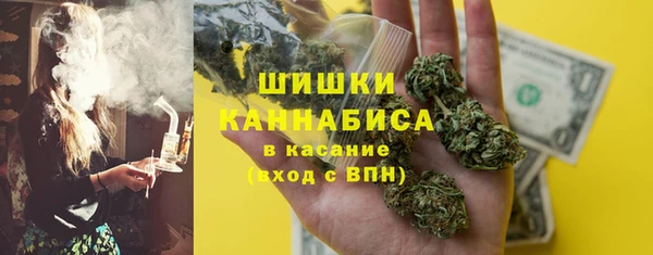 ПСИЛОЦИБИНОВЫЕ ГРИБЫ Верхний Тагил