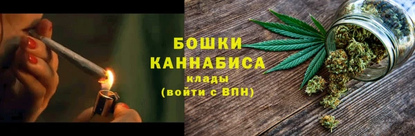 ПСИЛОЦИБИНОВЫЕ ГРИБЫ Верхний Тагил