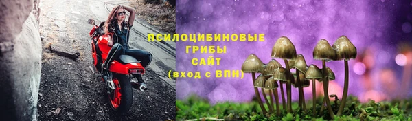 ПСИЛОЦИБИНОВЫЕ ГРИБЫ Верхний Тагил