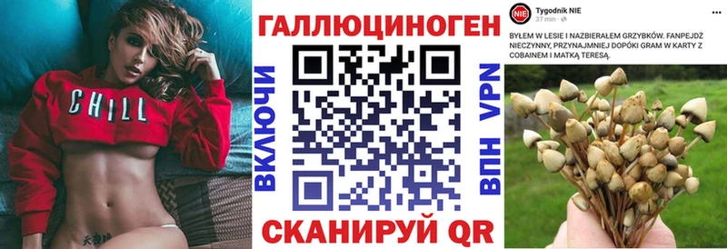 Псилоцибиновые грибы Cubensis  Тула 